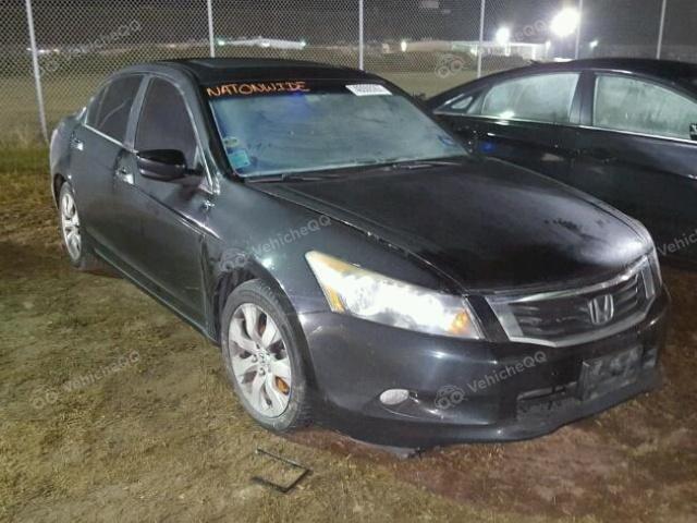 2010 HONDA ACCORD