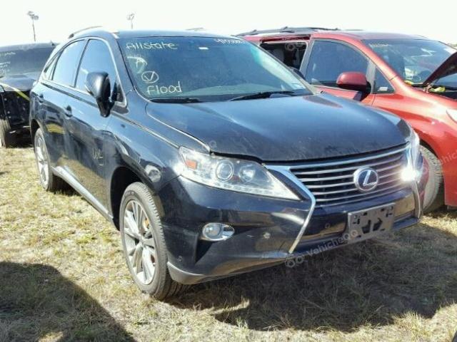 2013 LEXUS RX